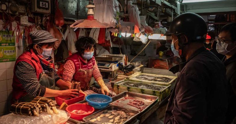 Coronavirus did not originate at Wuhan wet market, taken there by someone already infected with it: Study