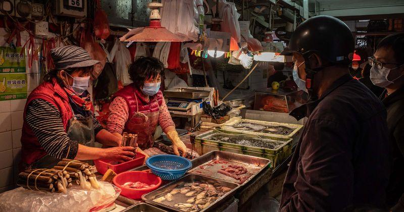 Wuhan FINALLY bans eating wild animals for 5 years after coronavirus pandemic was linked to city's wet markets
