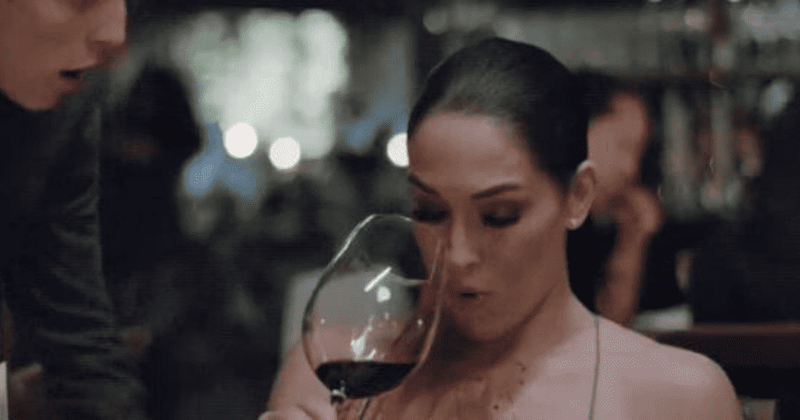 'Total Bellas': Waiter spills wine on Nikki but one detail has hawk-eyed fans wondering if the show is scripted