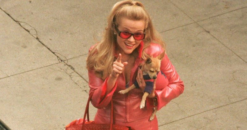 'Legally Blonde 3': Release date, plot, cast, trailer and all you need to know about Reese Witherspoon film