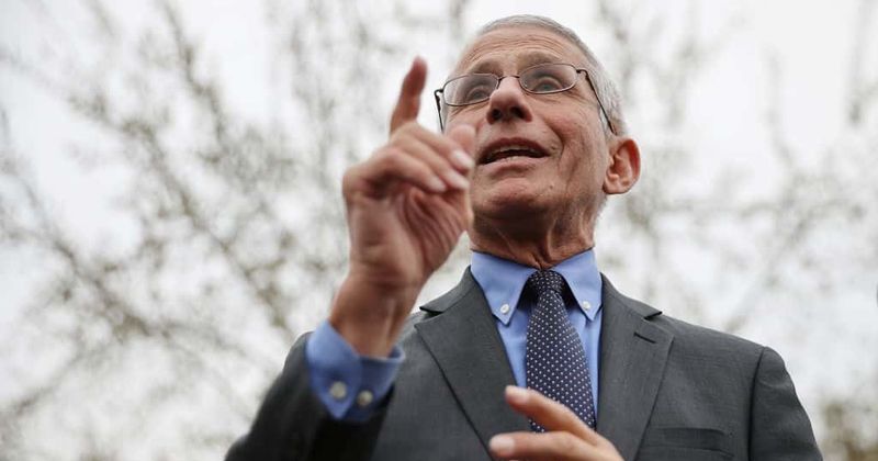 Dr Fauci to go hiking on Memorial Day as he urges Americans to 'go out' while maintaining social distancing