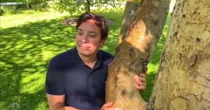 Did Jimmy Fallon sniff a tree? Twenty One Pilots fans mock host after waiting for 'Level of Concern' live gig