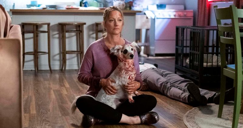 'Into the Dark: Good Boy': Release date, plot, cast, trailer and all you need to know about Hulu's upcoming horror show