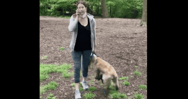 Central Park 'Karen' Amy Cooper who called 911 on black man also tried to get her doorman fired