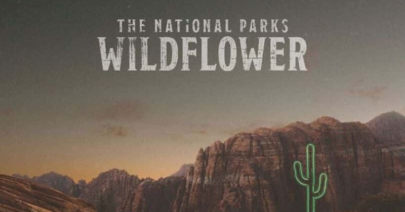 'Wildflower': The National Parks share uplifting messages of hope and strength in quartet's latest offering