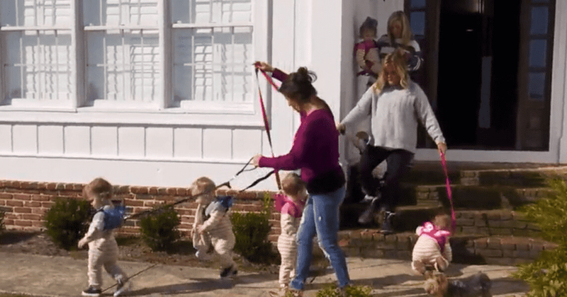 'Sweet Home Sextuplets': Courtney gets harness for the children, says it is to keep them 'safe'