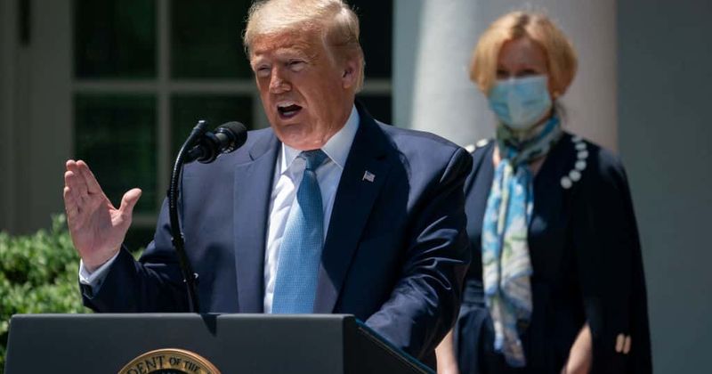Trump believes coronavirus is 'dying out' and Americans are wearing masks to show their disapproval of him