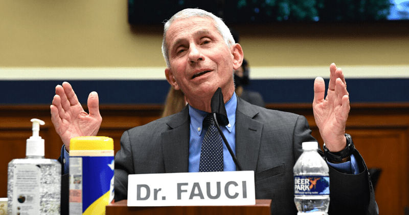Anthony Fauci warns of 'disturbing surge' in Covid-19 cases, contradicts Trump saying US will increase testing