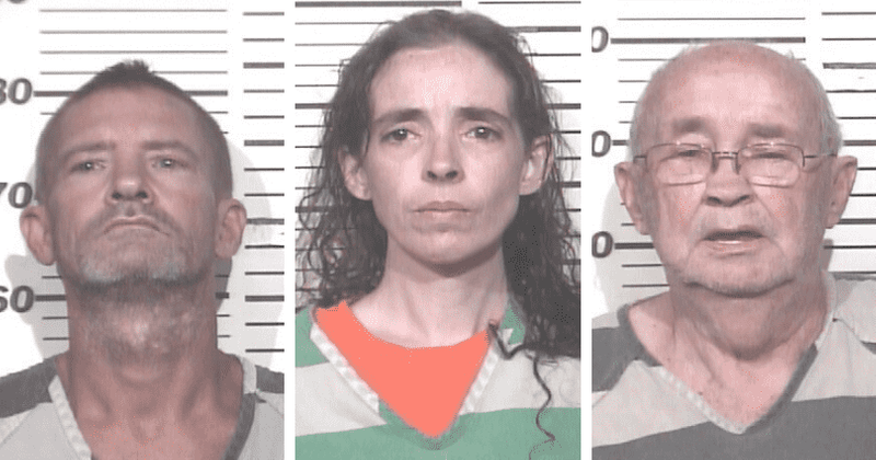 Tennessee toddler rescued from dog kennel with 8 snakes, hundreds of mice, maggots and cockroaches, 3 arrested
