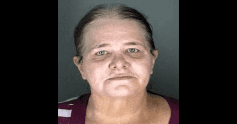 Colorado woman, 55, caught with bestiality videos of animals raping children gets JUST 6 months in jail