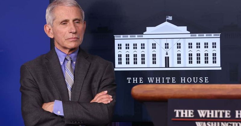 Fauci warns US could report 100k Covid-19 cases a day if country doesn't take necessary steps to curb spread