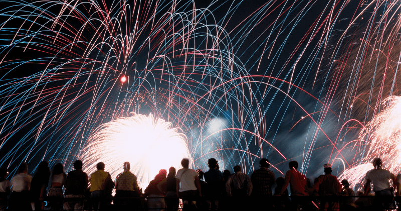 July 4 fireworks emit toxic metals, can cause permanent damage to human cells and animal lungs, research shows