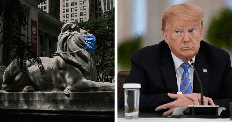 Iconic New York Public Library lions mask up to set an example even as Trump stubbornly refuses to wear one