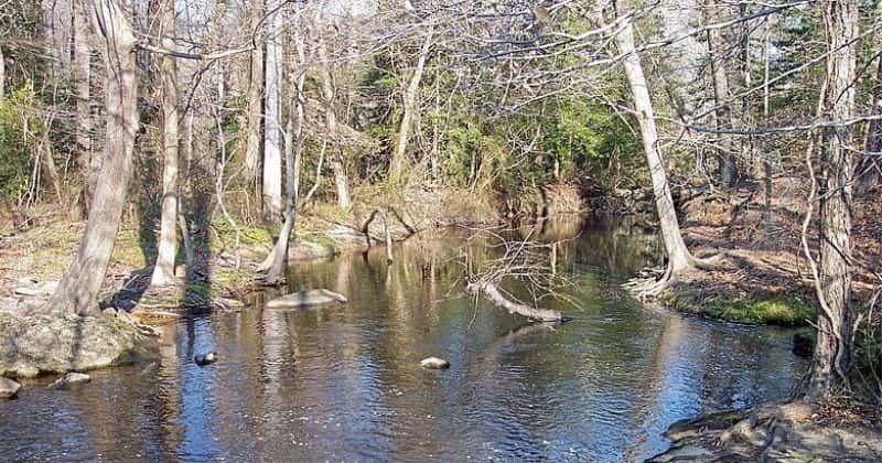 Murderkill River: 2 bodies of missing swimmers found, Internet says ‘now why the f**k would you go there?’