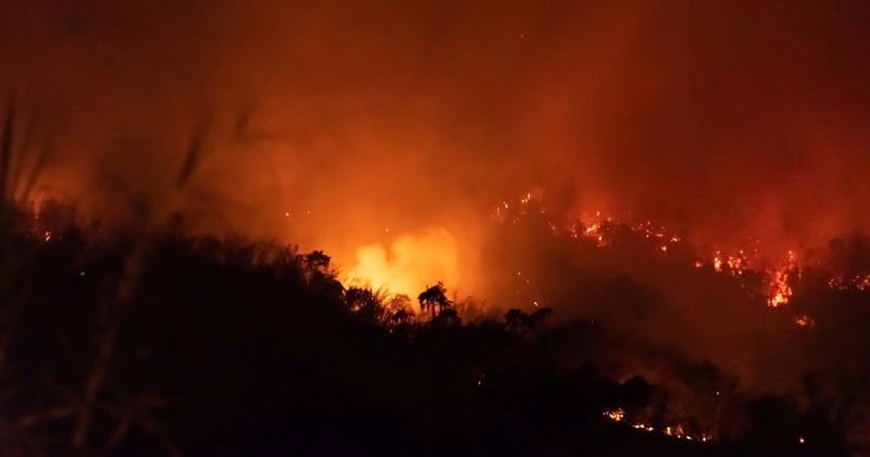 Amazon rainforest fires rage at 13-year record high in June, likely to worsen in next 3 months