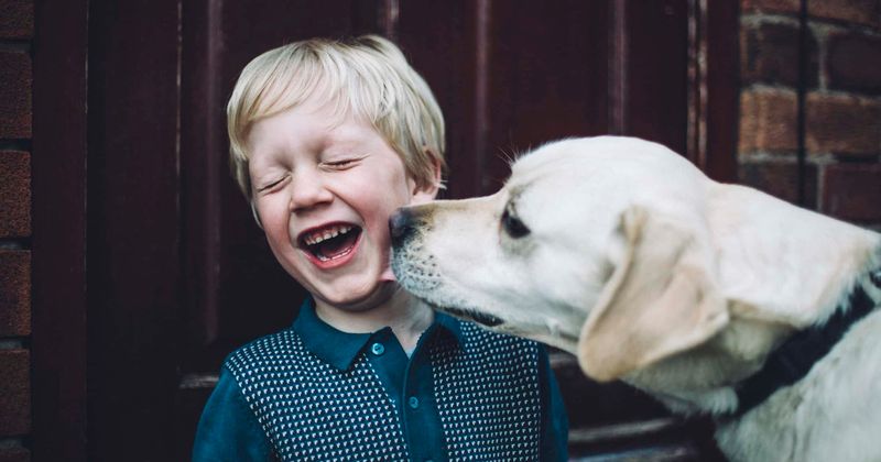 Pet dogs may help preschoolers develop better social and emotional skills, boost physical activity: Study
