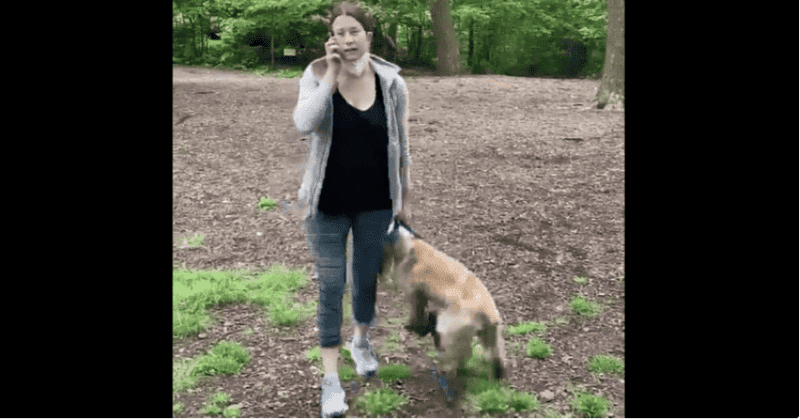 Central Park 'Karen' Amy Cooper charged for calling cops on Black birdwatcher, could see a year in jail