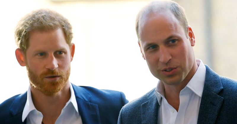 Harry and William split future proceeds of Diana’s memorial fund between their charities months before Megxit