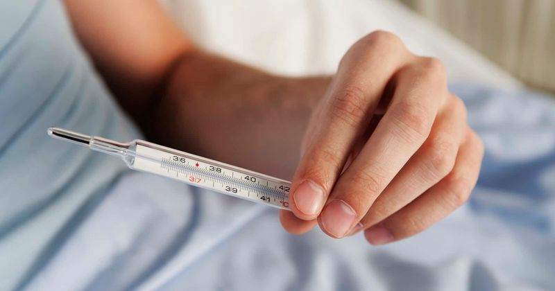 WHO says bubonic plague situation in China is not 'high risk', here's all you need to know about the disease