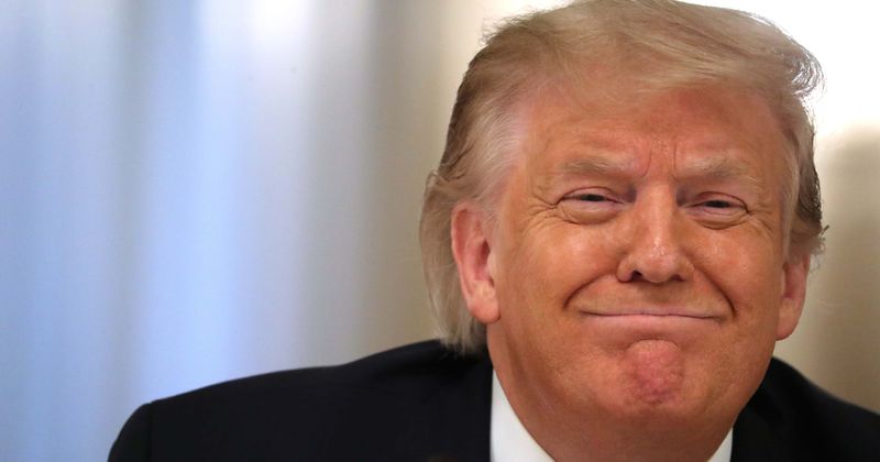 Trump hired proxy to write SATs for him as he embraces 'cheating as a way of life', says niece Mary in memoir