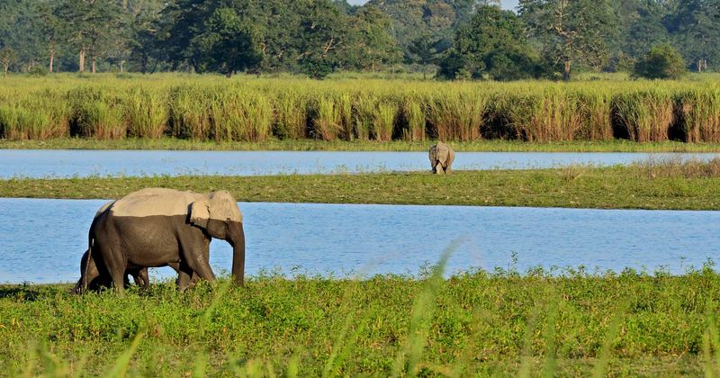 Investing in protecting 30% of world's lands and oceans could reap great economic benefits in future: Report