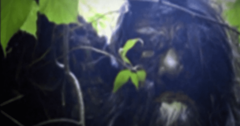 'Paranormal Caught on Camera' Season 3 Episode 1: UFO sightings and legend of Clinton Road ramp up fear factor