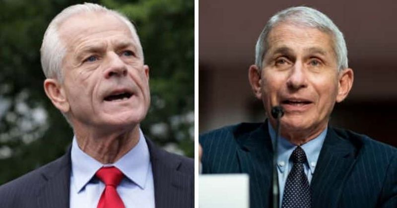 Peter Navarro slams Dr Fauci’s Covid-19 advice, Angry Internet says ‘Trump administration at war with itself’