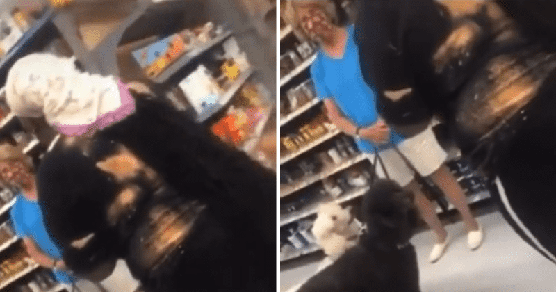 'Karen' with 2 dogs blocks Black woman from entering supermarket aisle, Internet calls her 'dumb Trumpini'