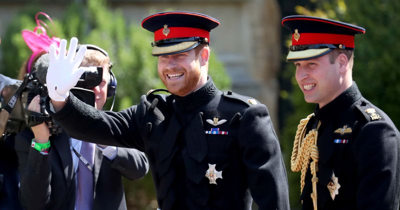 Harry's rift with William won't get fixed unless he gets back to the UK and talks to his brother, claims expert