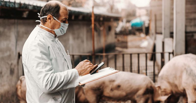 World needs to set apart $30 billion a year to prevent the next pandemic and $15 trillion economic loss: Study
