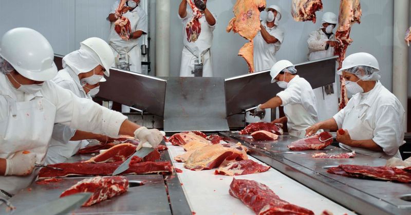 Why are slaughterhouses becoming Covid-19 hotspots? Low temperatures, poor ventilation may aid virus spread