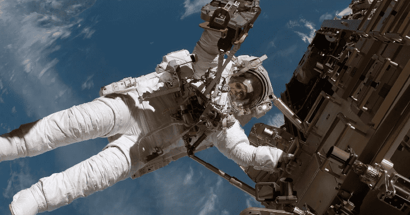 Self-replicating Chernobyl fungus may protect astronauts from harmful space radiation, new study reveals