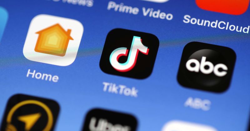 TikTok users call AAVE 'Internet stan culture', sparks war as some say White people shouldn't be using terms