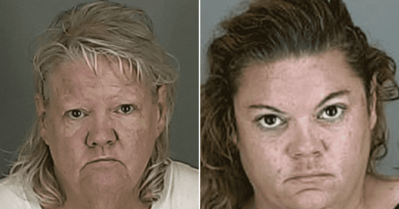 Ohio mother-daughter duo sets pet pit bulls on store worker who caught them shoplifting to make their escape