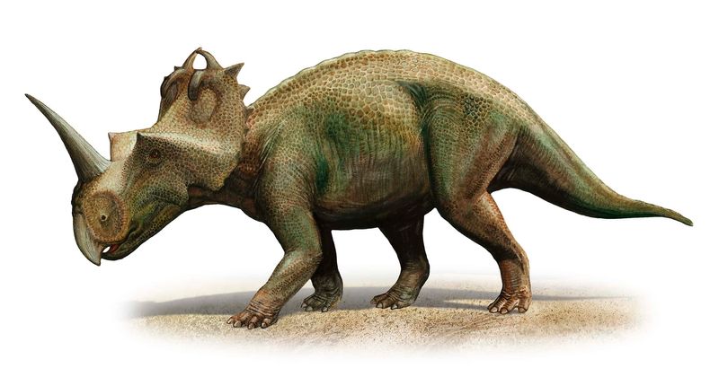 Did dinosaurs have cancer? Study finds proof of disease in a 77 million-year-old Centrosaurus fossil
