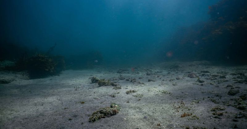 Microbes living hundreds of feet below seafloor and using minimal energy may answer whether Mars has life: Study