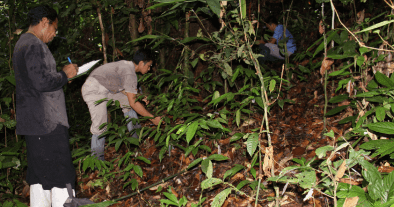 Restoring forests speeds up their ability to capture carbon that humans added to atmosphere by over 50%: Study