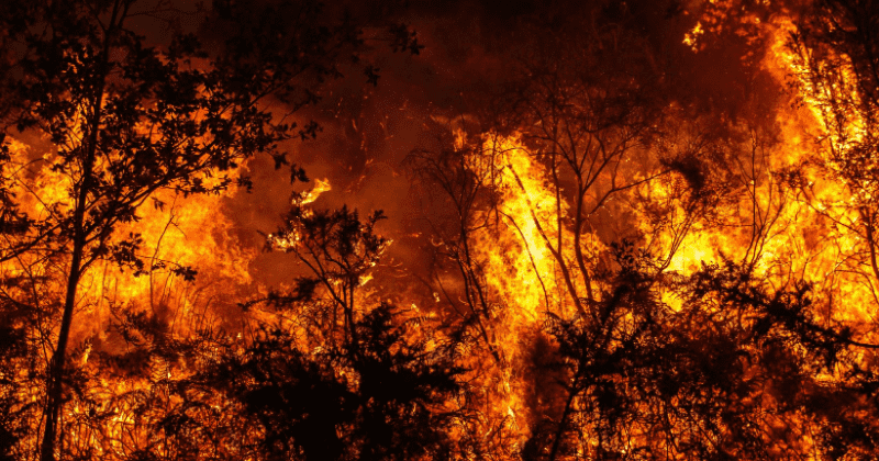 2010-19 was the hottest decade on record, finds study as climate crisis worsens globally