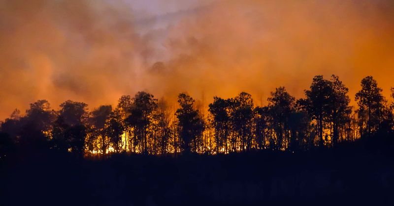 Amazon records over 10,000 fires in first 10 days of August, the highest it has seen in a decade: Analysis