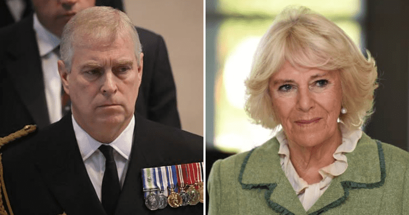 Prince Andrew cracked jokes about Camilla's upset stomach at Ghislaine Maxwell's party, says New York playboy