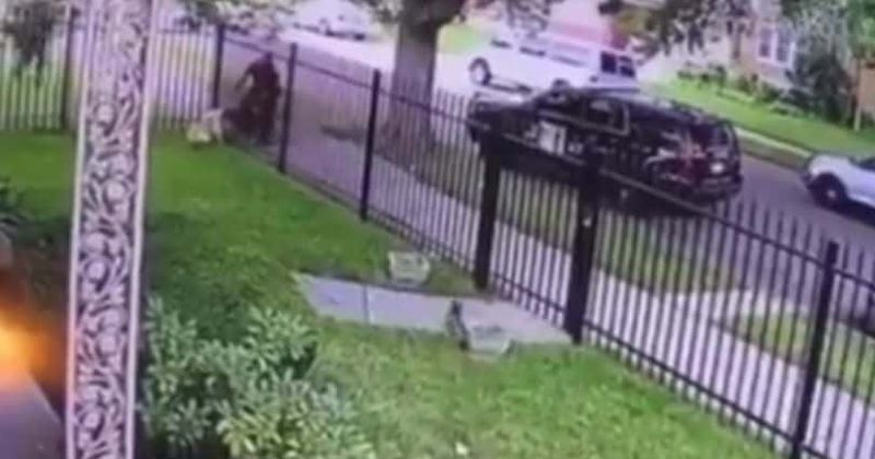 Shaun King sparks Internet hunt for Detroit cop who shot dog dead, as disturbing video goes viral