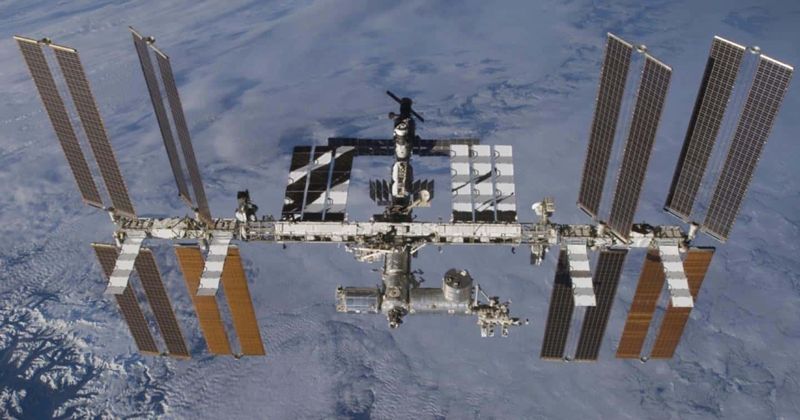 Radiation-resistant bacteria survived in ISS for 3 years, raises hope of withstanding travel to Mars: Study