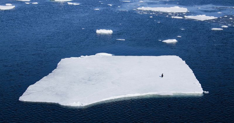 Earth lost 28 trillion tonnes of ice during 1994-2017, sea levels may rise by 17cm by end of century: Study