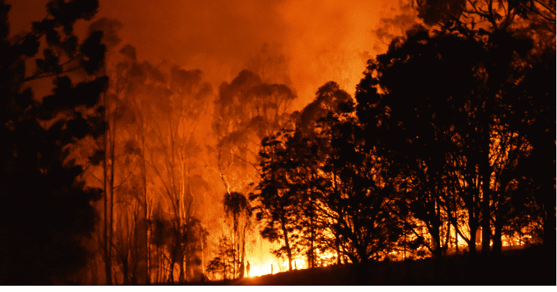 Global warming closer to bleak milestone, may move to ‘hothouse’ state not seen in millions of years: Study