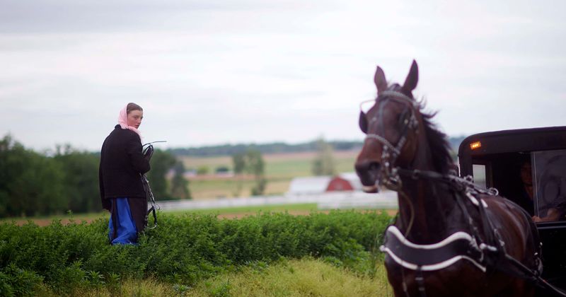 Lancaster shooting: Why is Internet furious over ‘Amish country’ reference? Here's a slice of history and facts