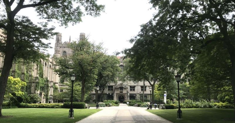 University of Chicago English dept slammed as 'bigoted' for admitting students 'interested in Black studies' only