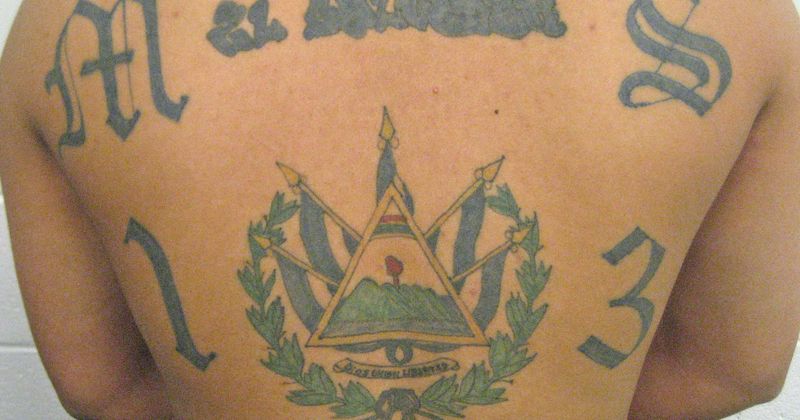 Who's Ever Morales-Lopez? MS-13 gangster facing murder charge mistakenly freed by NY jail, FBI notice 5 days later