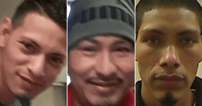 3 Louisiana brothers raped 10-year-old girl who locked herself in bathroom after men offered money for sex