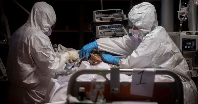 Why does Covid-19 virus harm some more than others? 2 studies blame it on genetic defects, faulty immune system