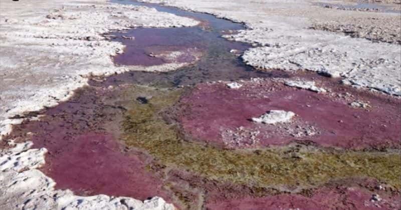 What was the source of life before oxygen? Study says ancient microbial life on Earth relied on arsenic
